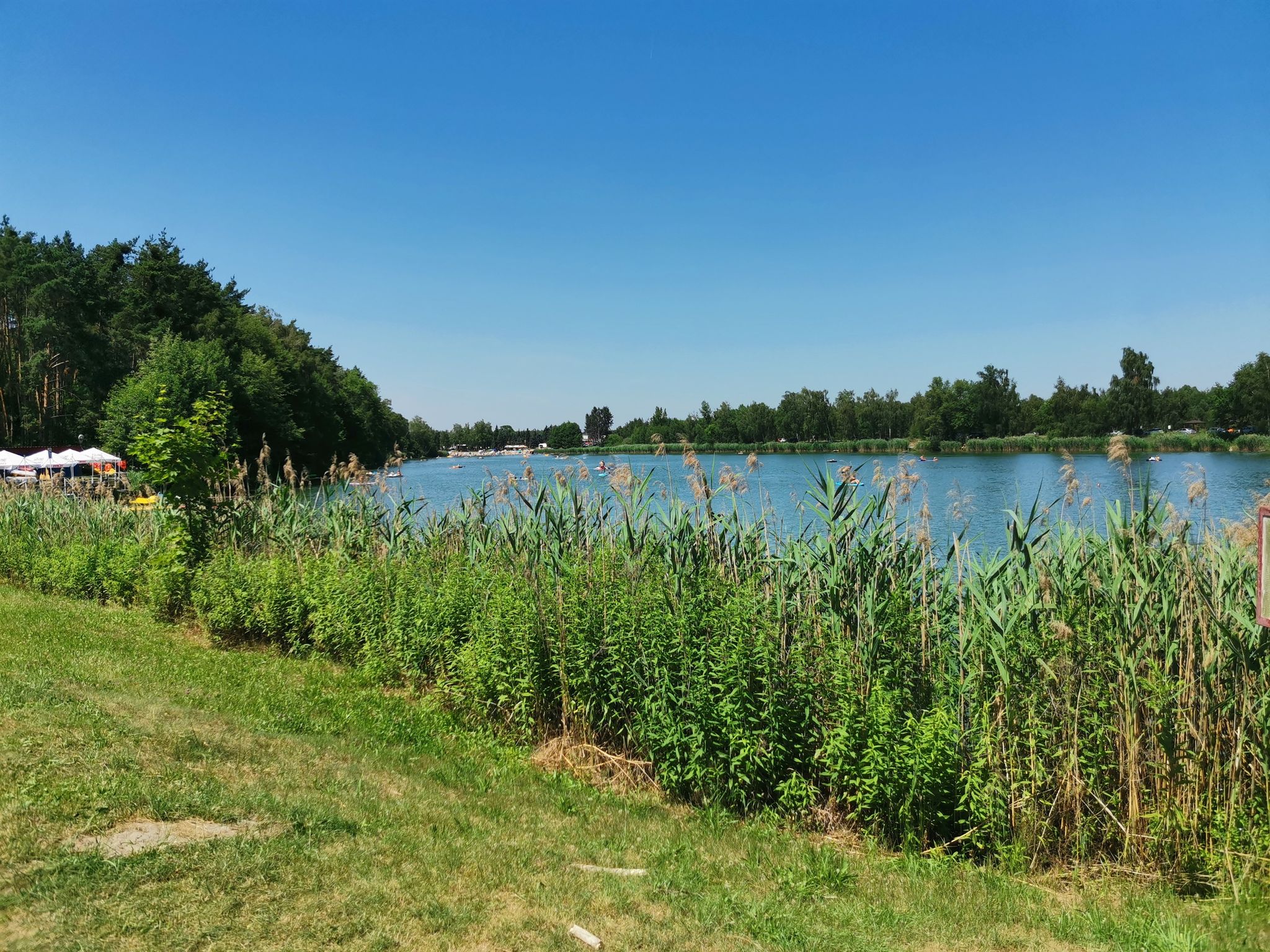 Pierwszy Staw Jelczański strona południowa