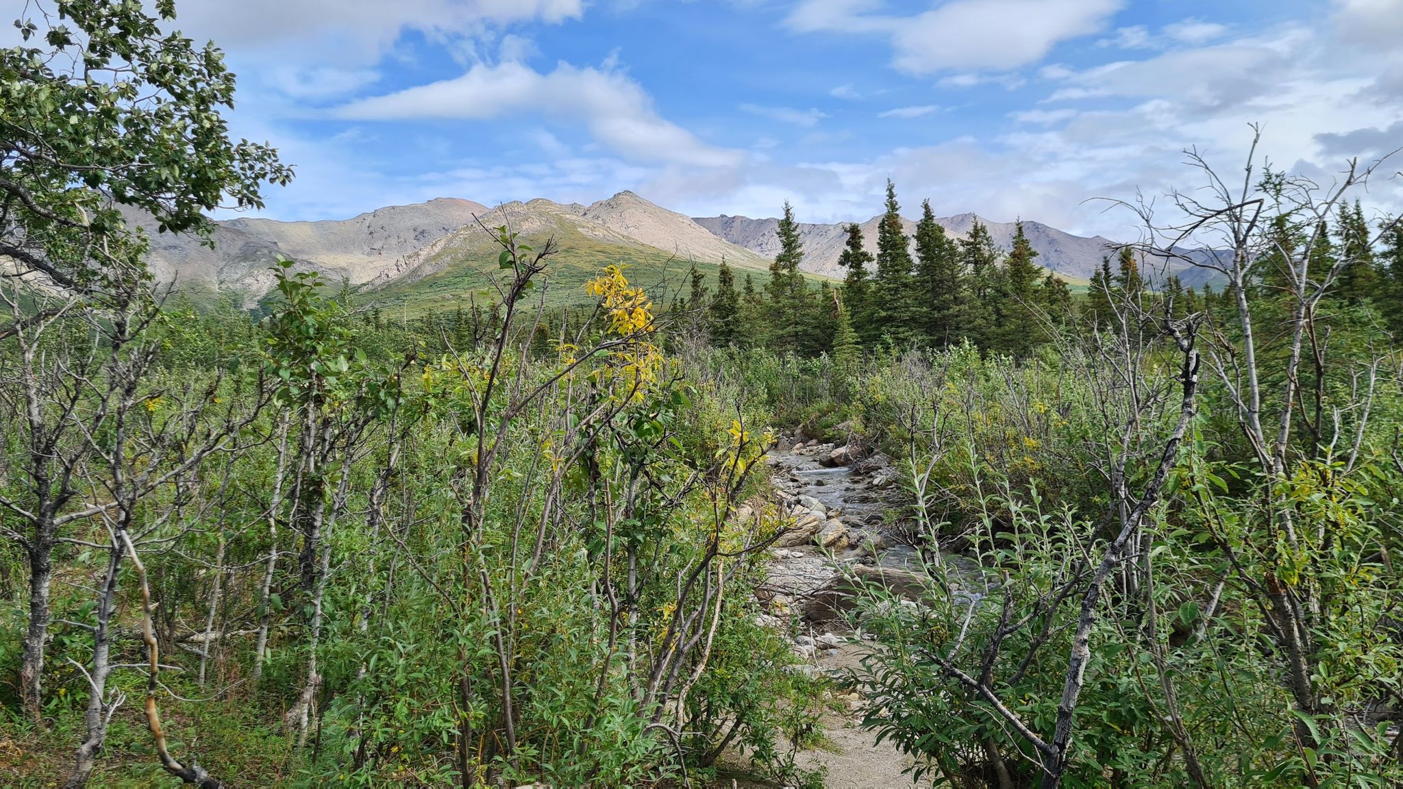 Green valley with trees and mountains under a blue sky with clouds. - Savage Alpine Trail