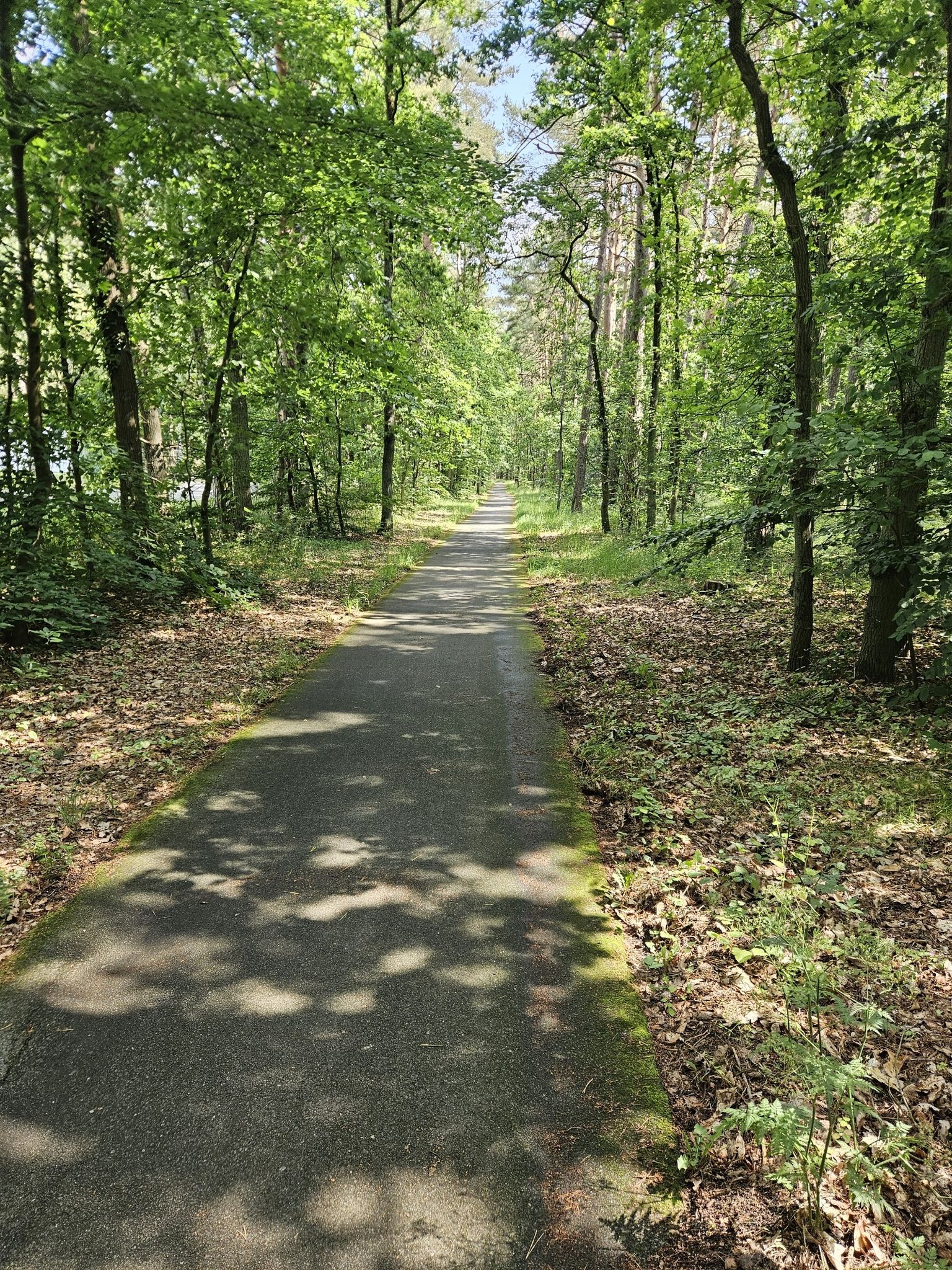 Schöner Radweg