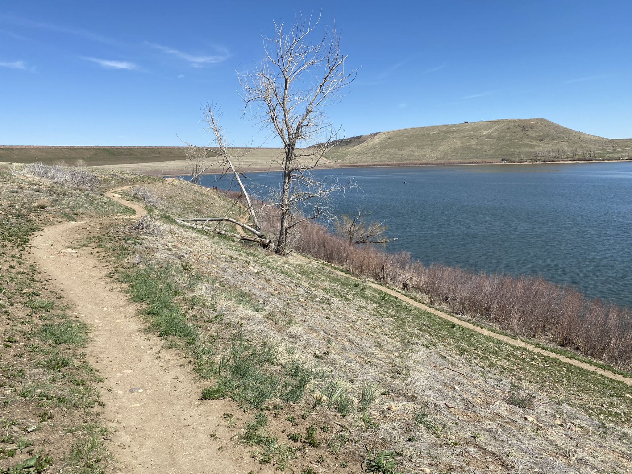 A winding dirt path alongside a large lake with a bare tree. - Bear Creek Lake – Bear Creek Lake loop from Muskrat Meadows