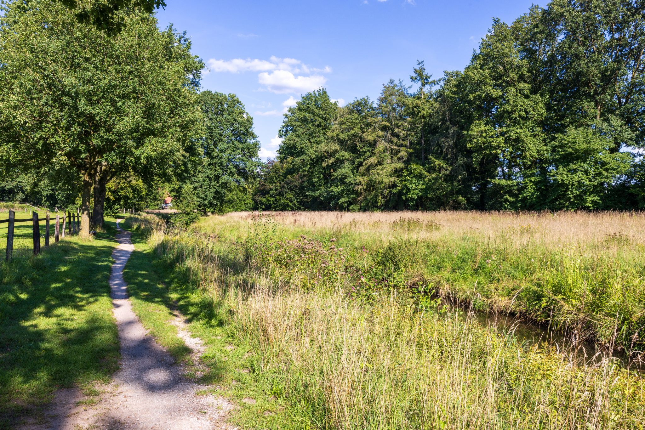 Die kurze Runde verläuft überwiegend auf Naturwegen.