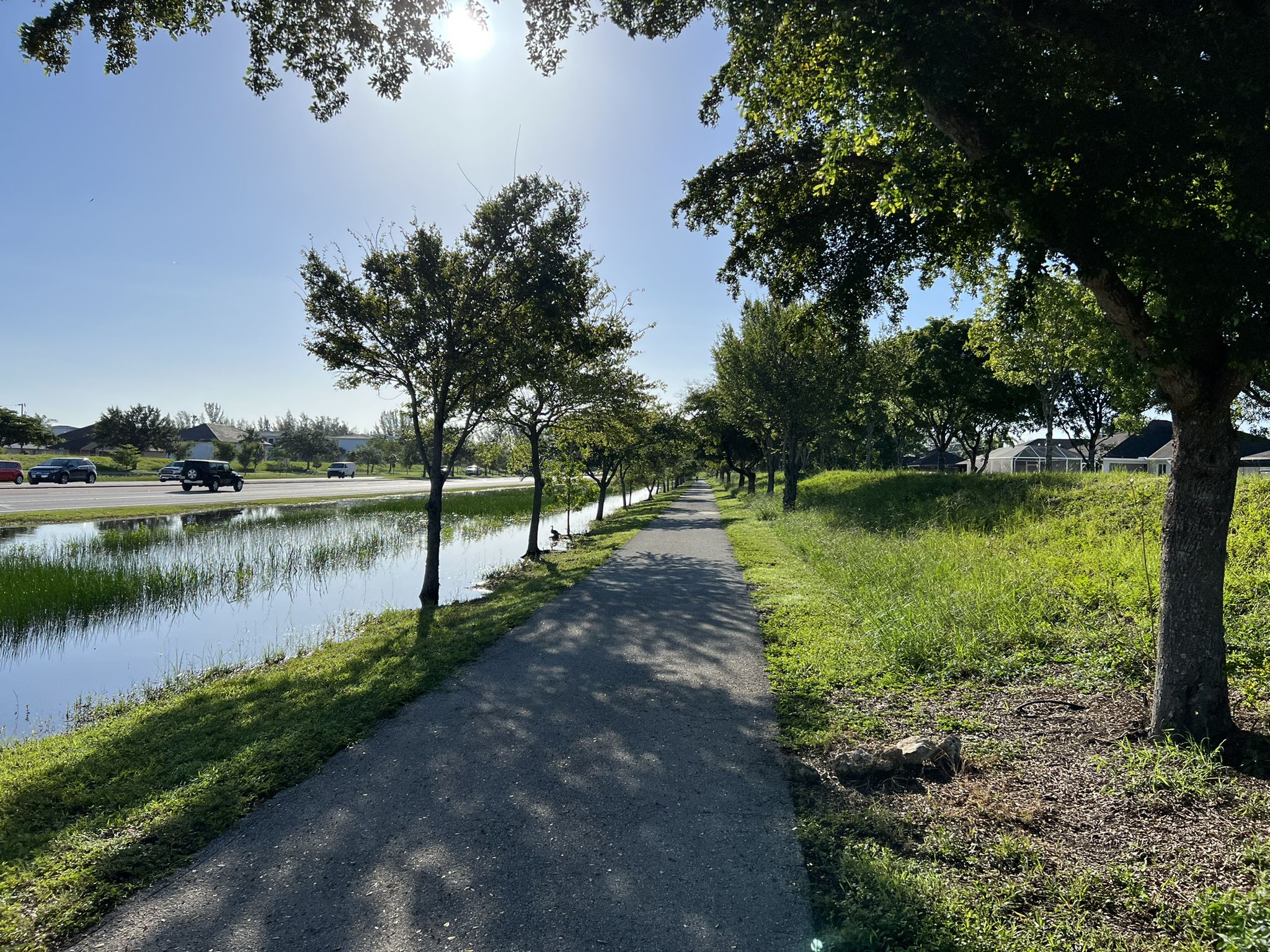 Sunny paved path beside a canal, with trees and distant cars. - Cape Coral loop