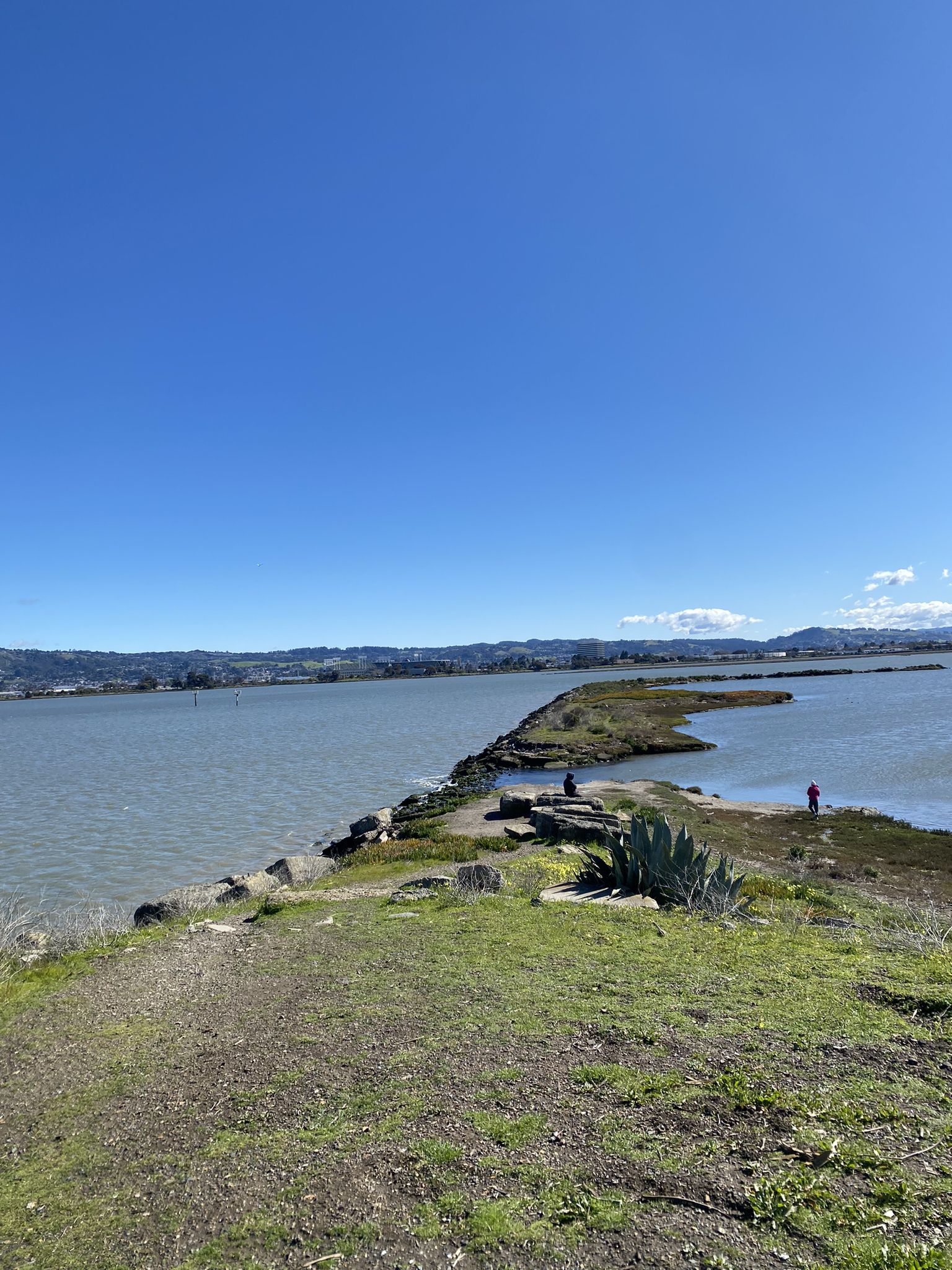 People on a narrow land strip extending into a calm bay on a clear day. - San Francisco Bay Trail: Bay Farm Island Loop