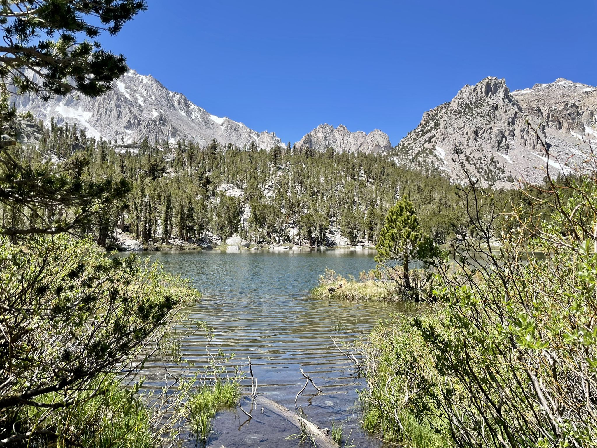 A clear lake surrounded by green trees and snow-dusted mountains under a blue sky. - Flower Lake via Kearsarge Pass Trail