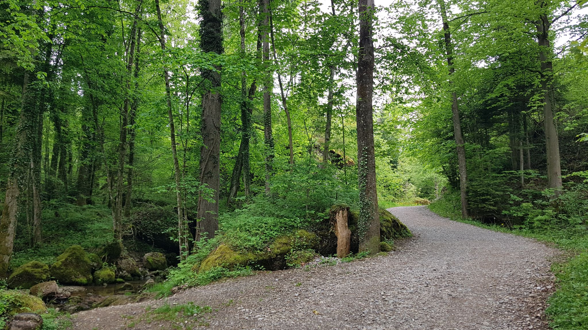 Duruf nach Goldau.