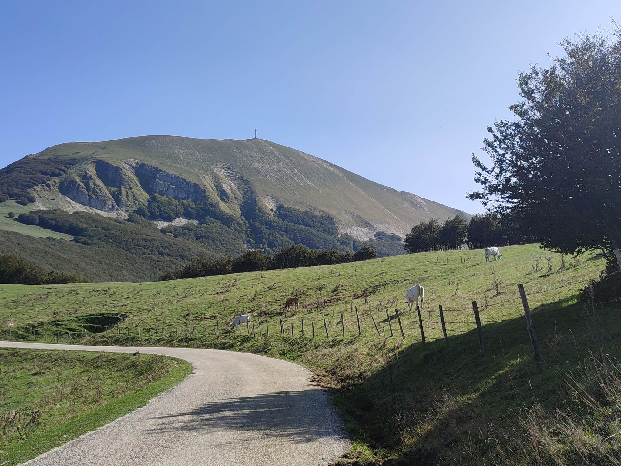 Monte Catria