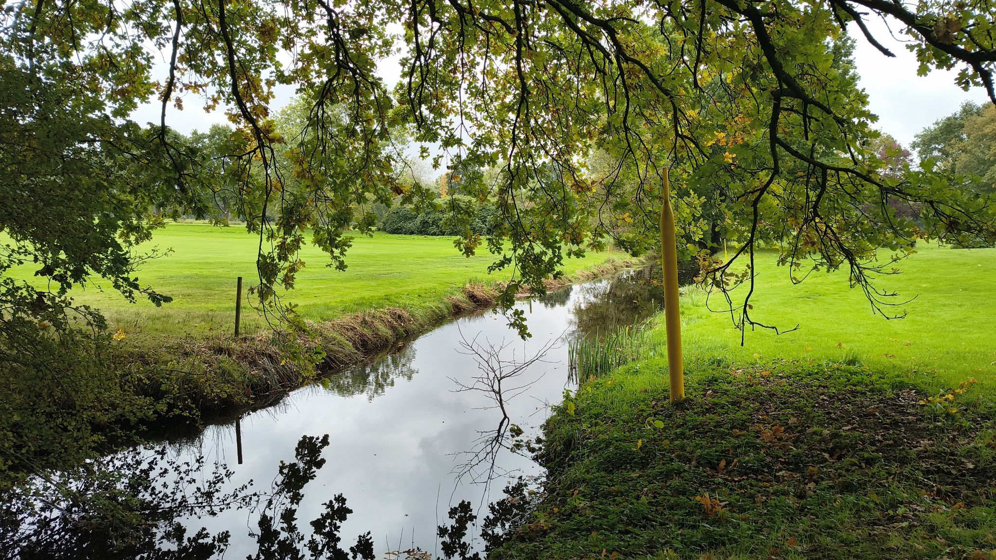 am Golfplatz. Kein Golf in Sicht. Wieder so 'ne Enttäuschung 🫤