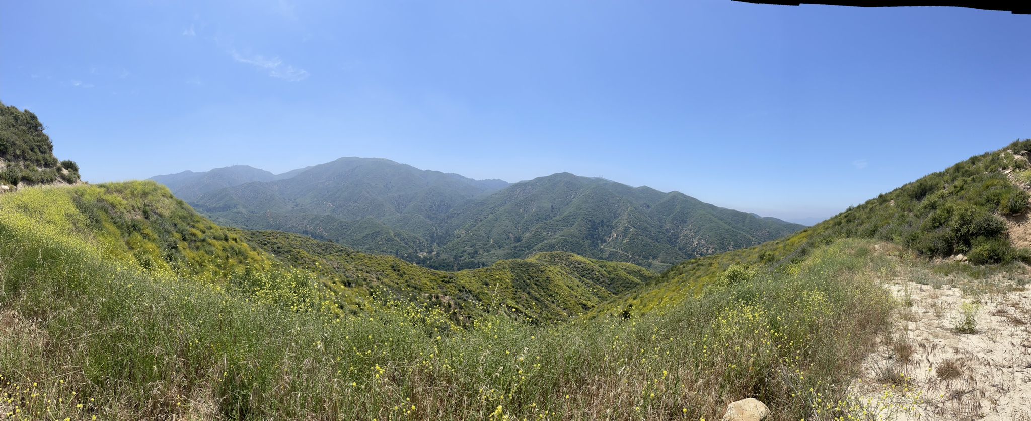 Sunny panoramic view of green, rolling hills and distant mountains. - Goden Valley Ranch Open Space loop from Via Princessa