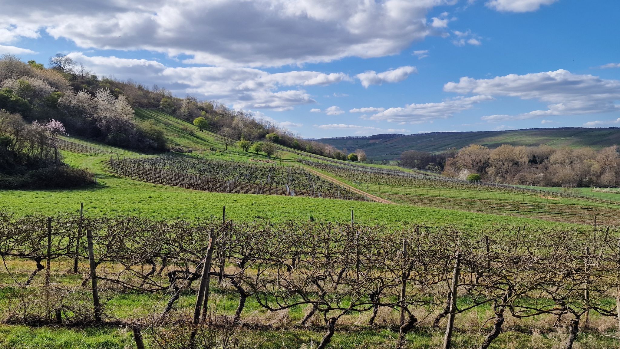 herrliche Aussichten