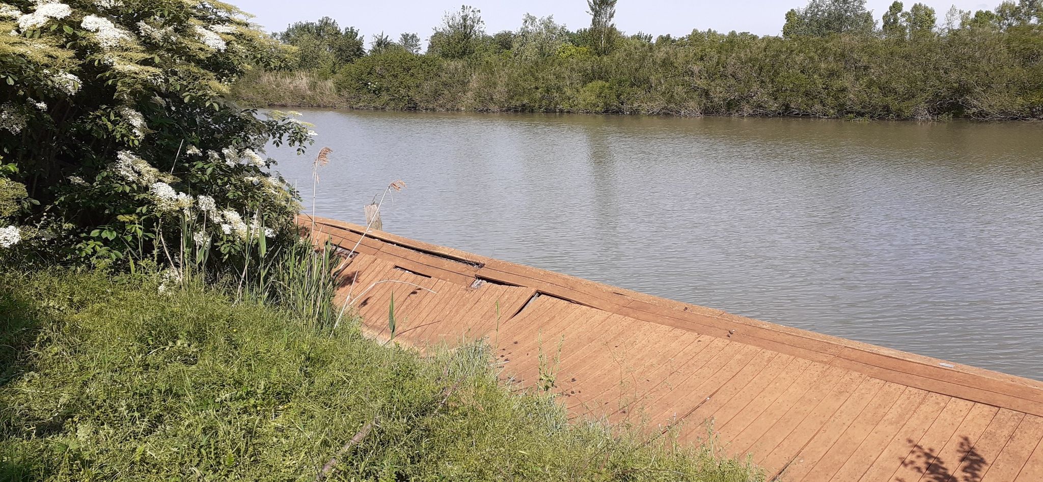 Pontile in legno collassato..........senza parole !