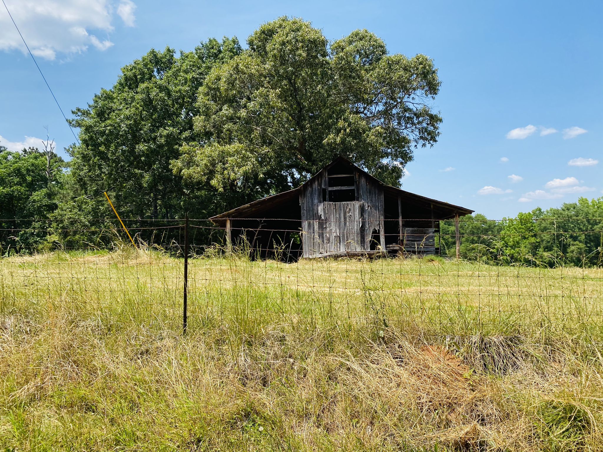 Rustic wooden barn in a sunny grassy field with a large tree behind it. - Cochran Mill Park – Upper Wooten Gravel Trail loop from S.E. Fairburn