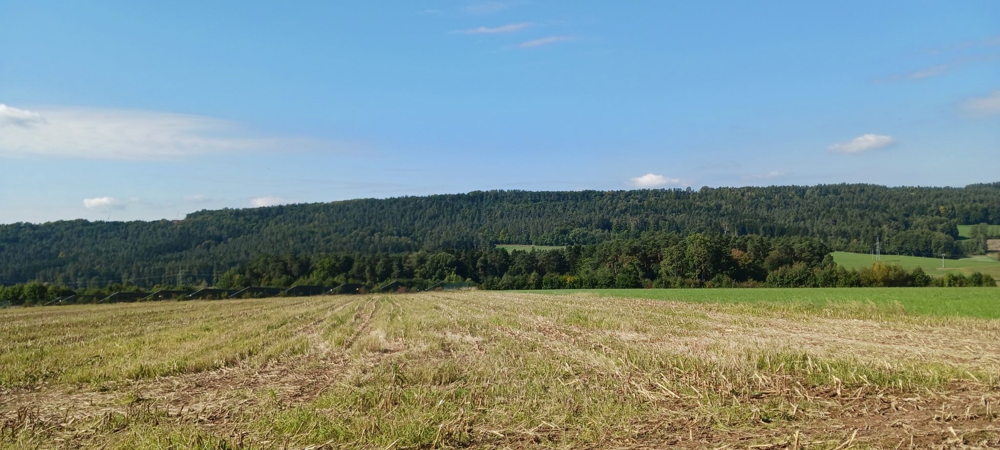 Ausblick - Schönfeld