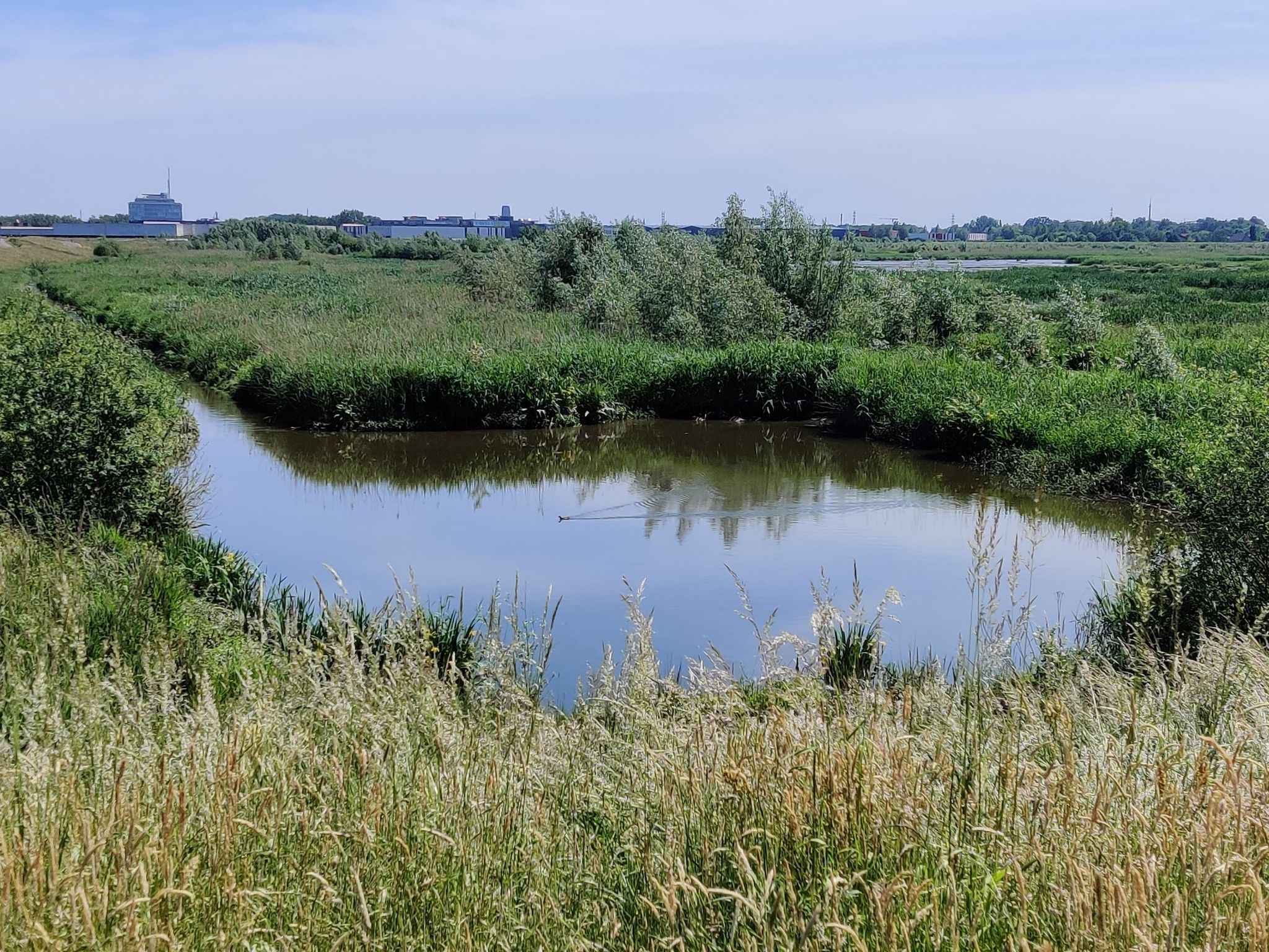 Overstromingsgebied