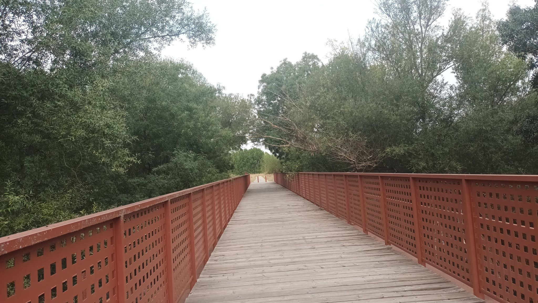 puente eresma