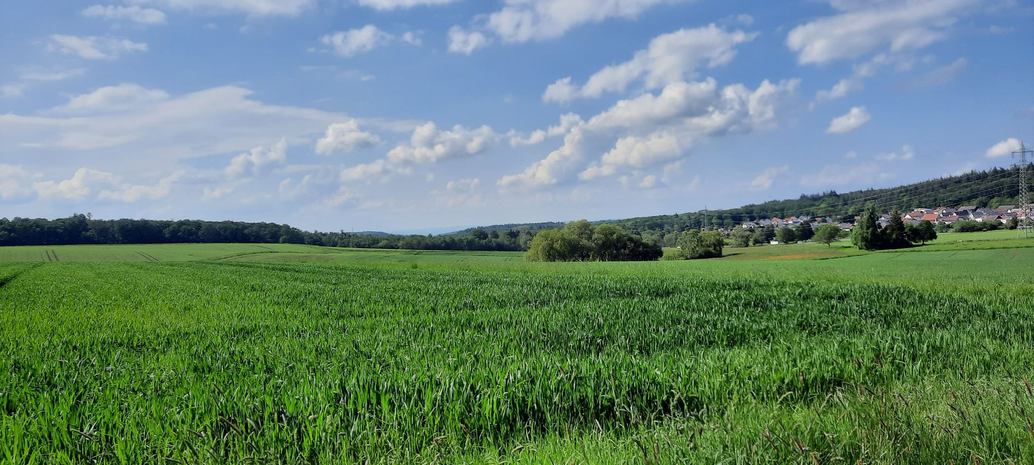 Taunuslandschaft bei Wilhelmsdorf