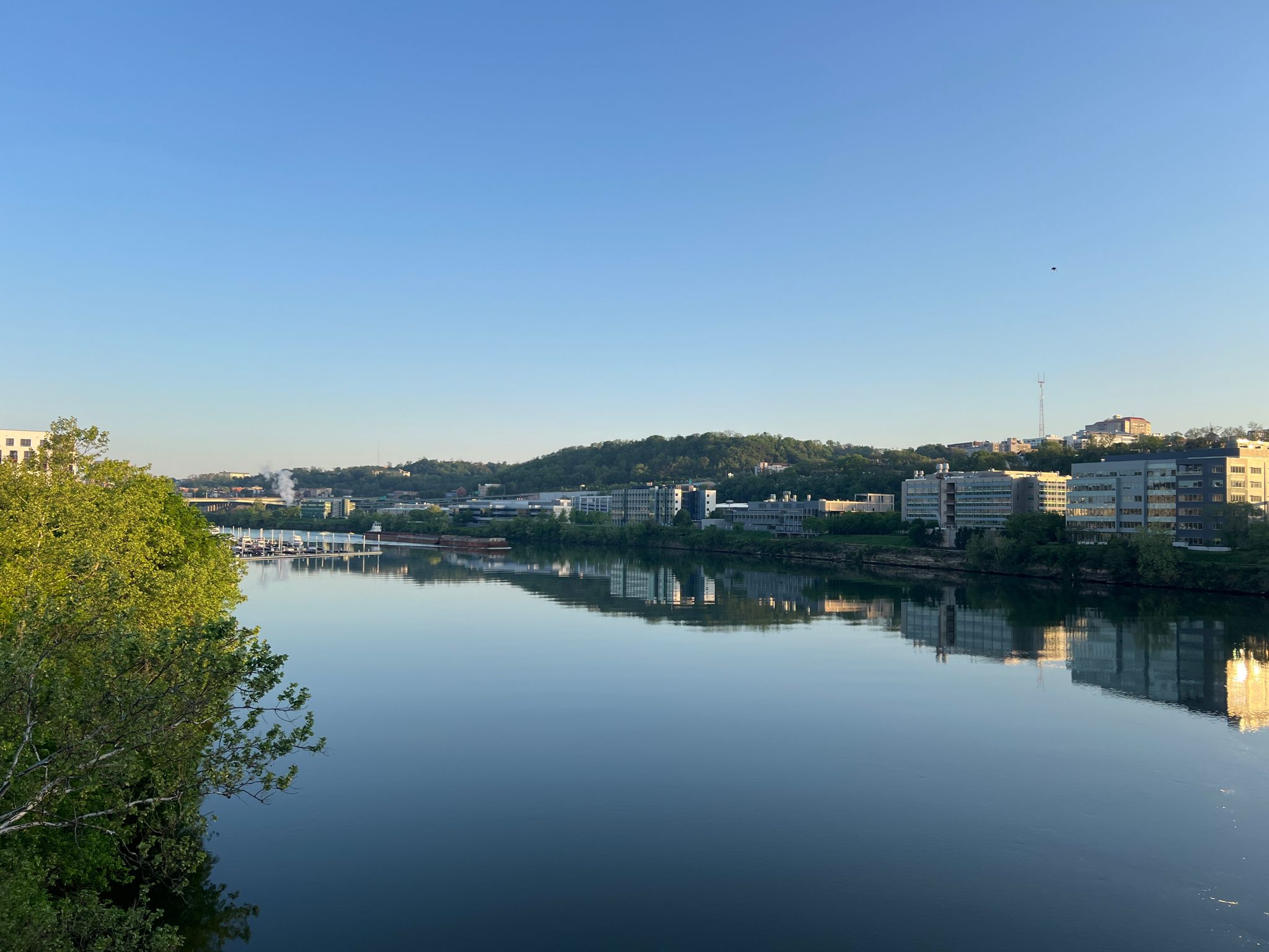 Calm river reflecting buildings and trees under a clear blue sky. - Great Allegheny Passage