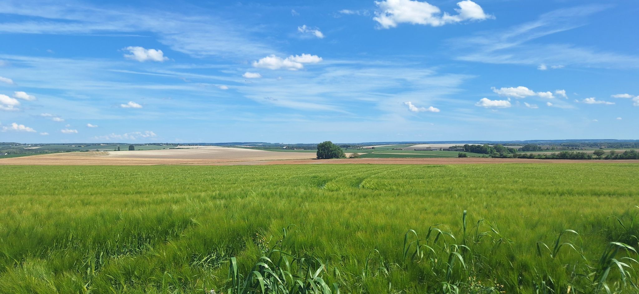 panorama