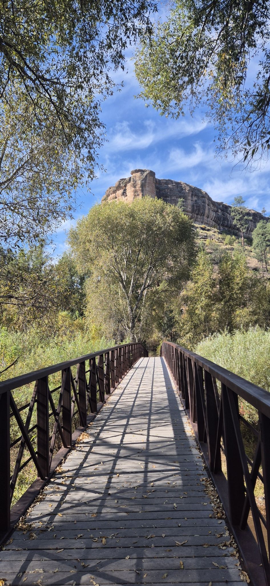 A wooden bridge with shadows leads to a rocky cliff and sunlit trees. - West Fork Trail #151