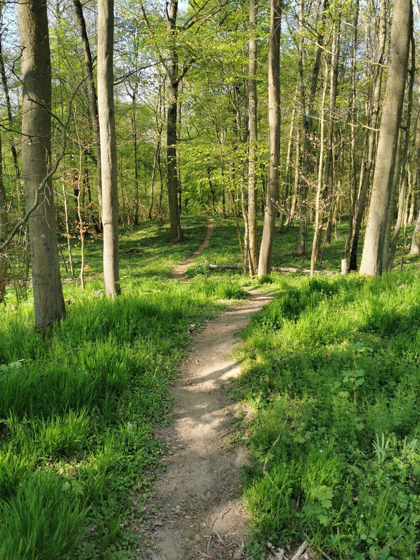 Trail am Wasserturm 