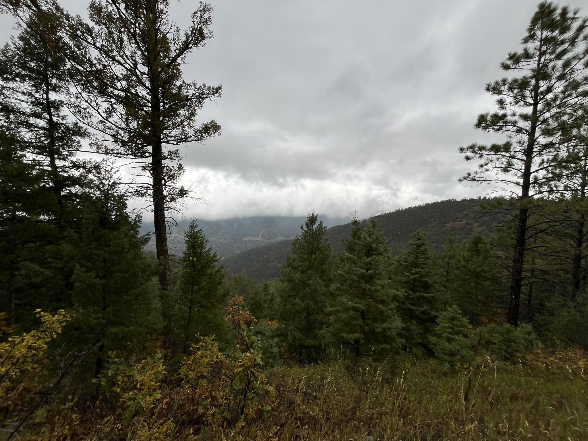 Overcast mountain landscape with dense pine forests under a cloudy sky. - South Boundary and Ojitos Trail Loop