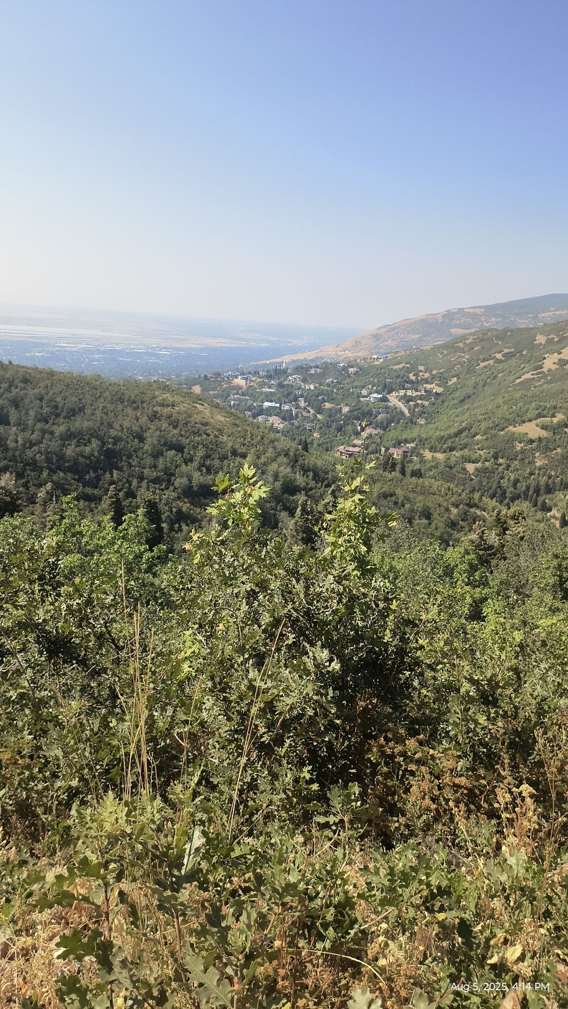 Expansive view over a green forested valley with a distant town under a clear sky. - Mountainbike loop from Orchard Dr @ 1785 S