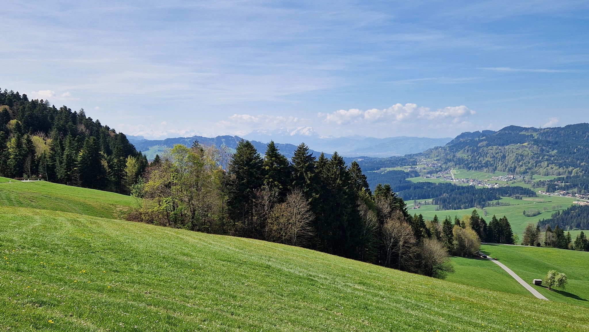 Auffahrt nach Sulzberg