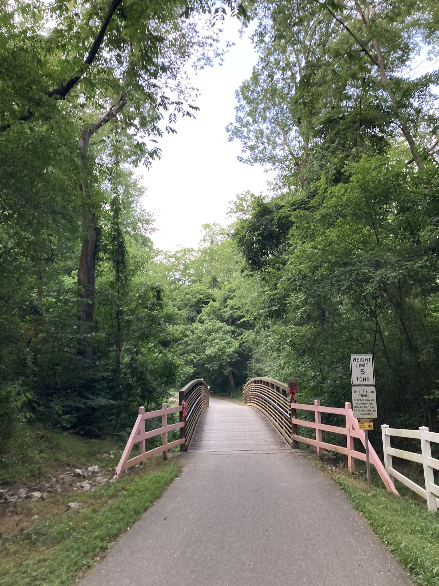 Paved path leading to a wooden bridge with pink railings in a green forest. - Cape Fear River Trail – Cape Fear River Trail Bridge loop from Methodist University
