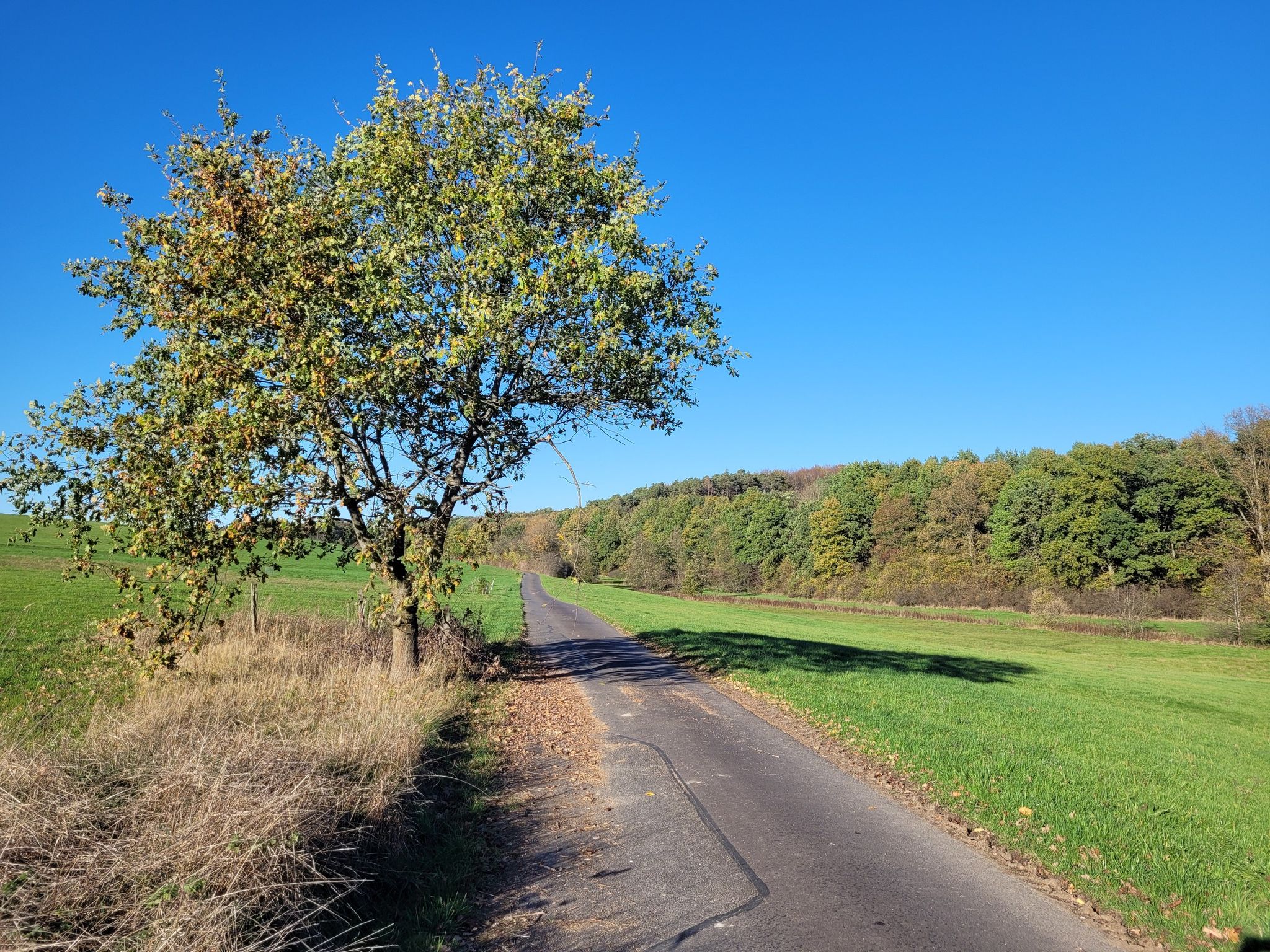 Hier wäre es auf dem WÖ1 auf Asphalt weitergegangen, ich habe mich anders entschieden...