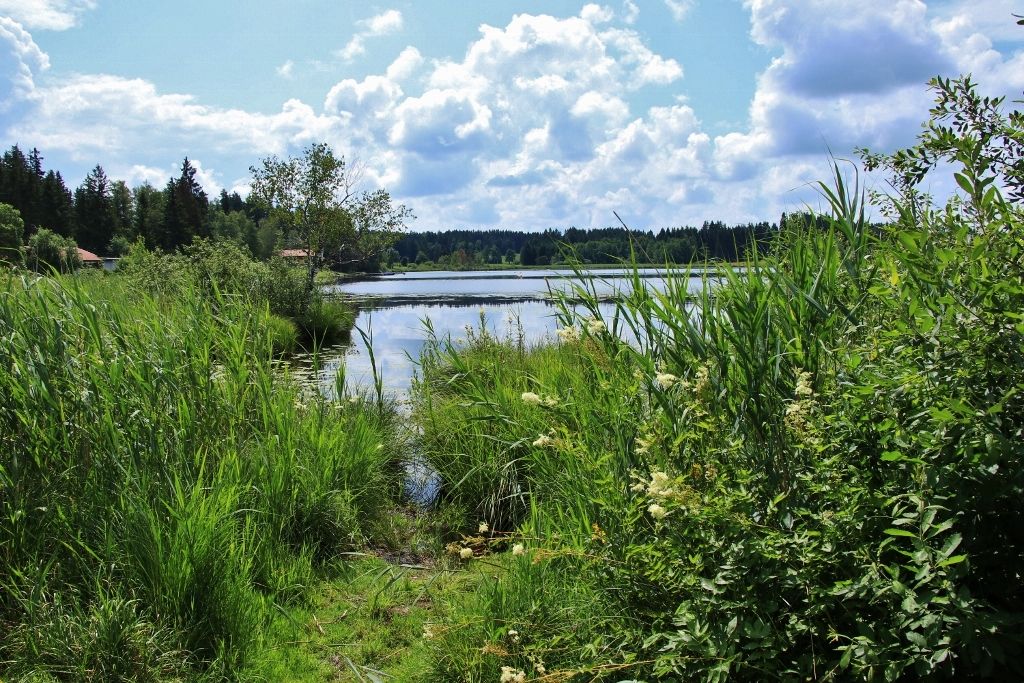 Der Elbsee