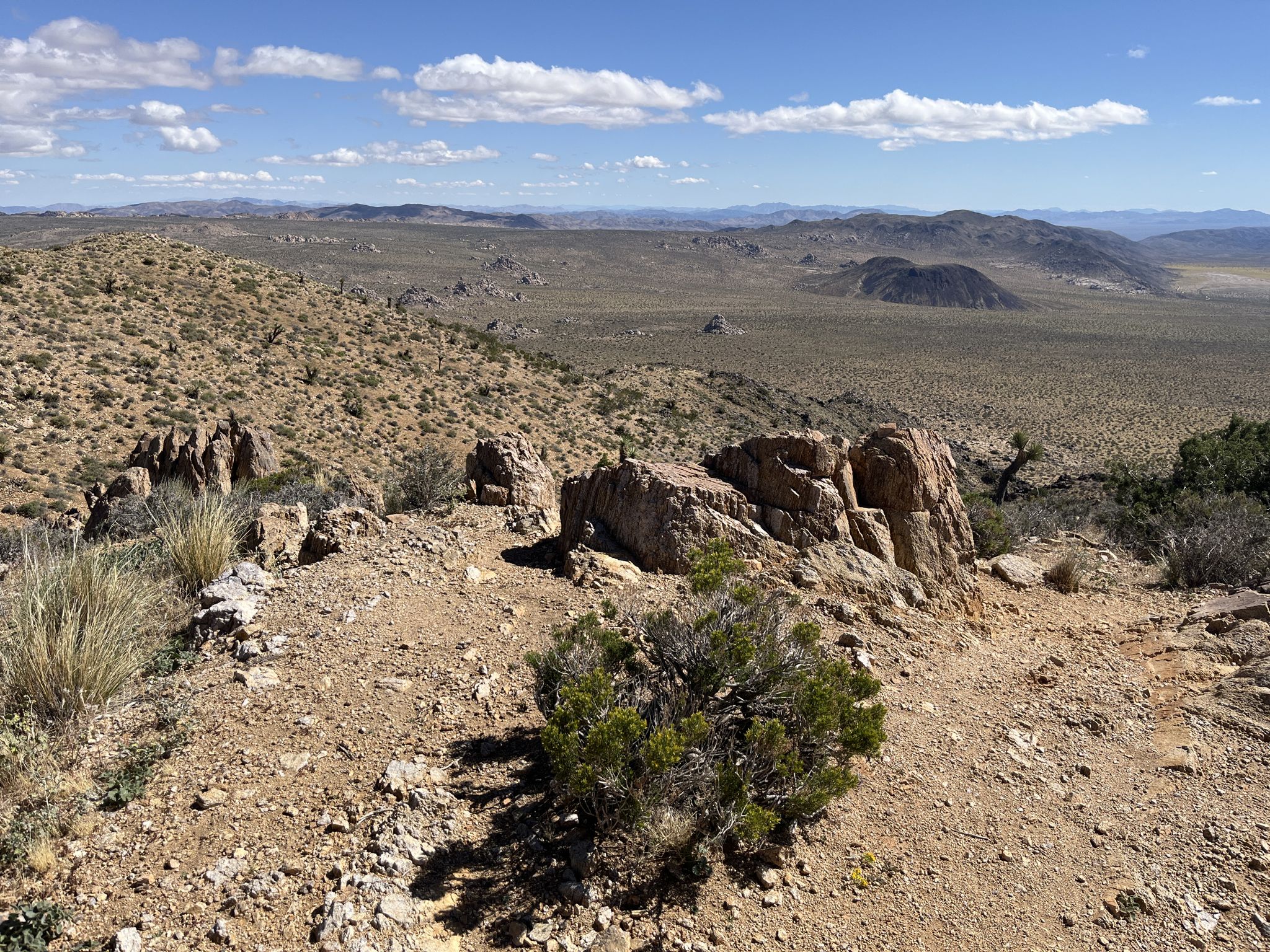 Expansive desert landscape with sparse vegetation and distant mountains under blue sky. - Lost Horse Mine Loop Trail
