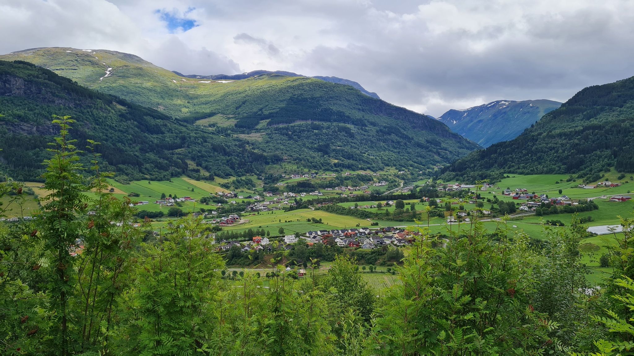 Vikøiry