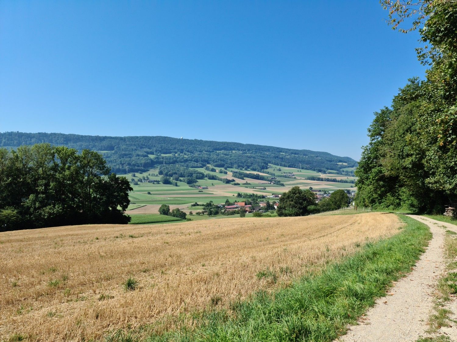 Schöfflisdorf;Lägeren im Hintergrund