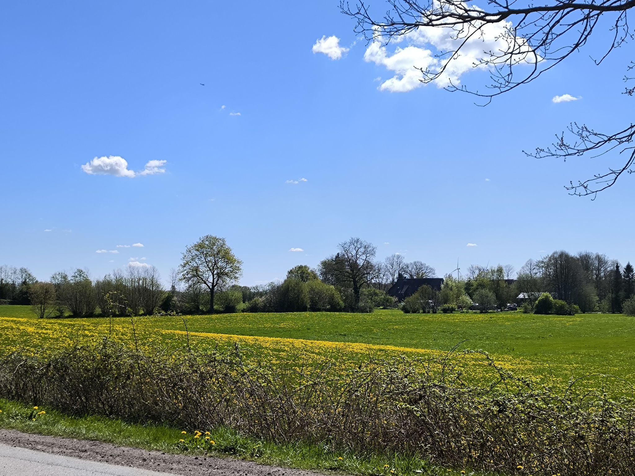 ich liebe Schleswig Holstein 💝