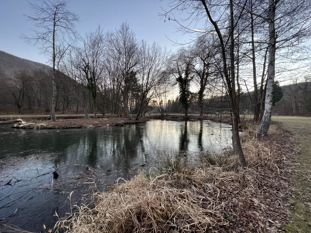 Zierteich