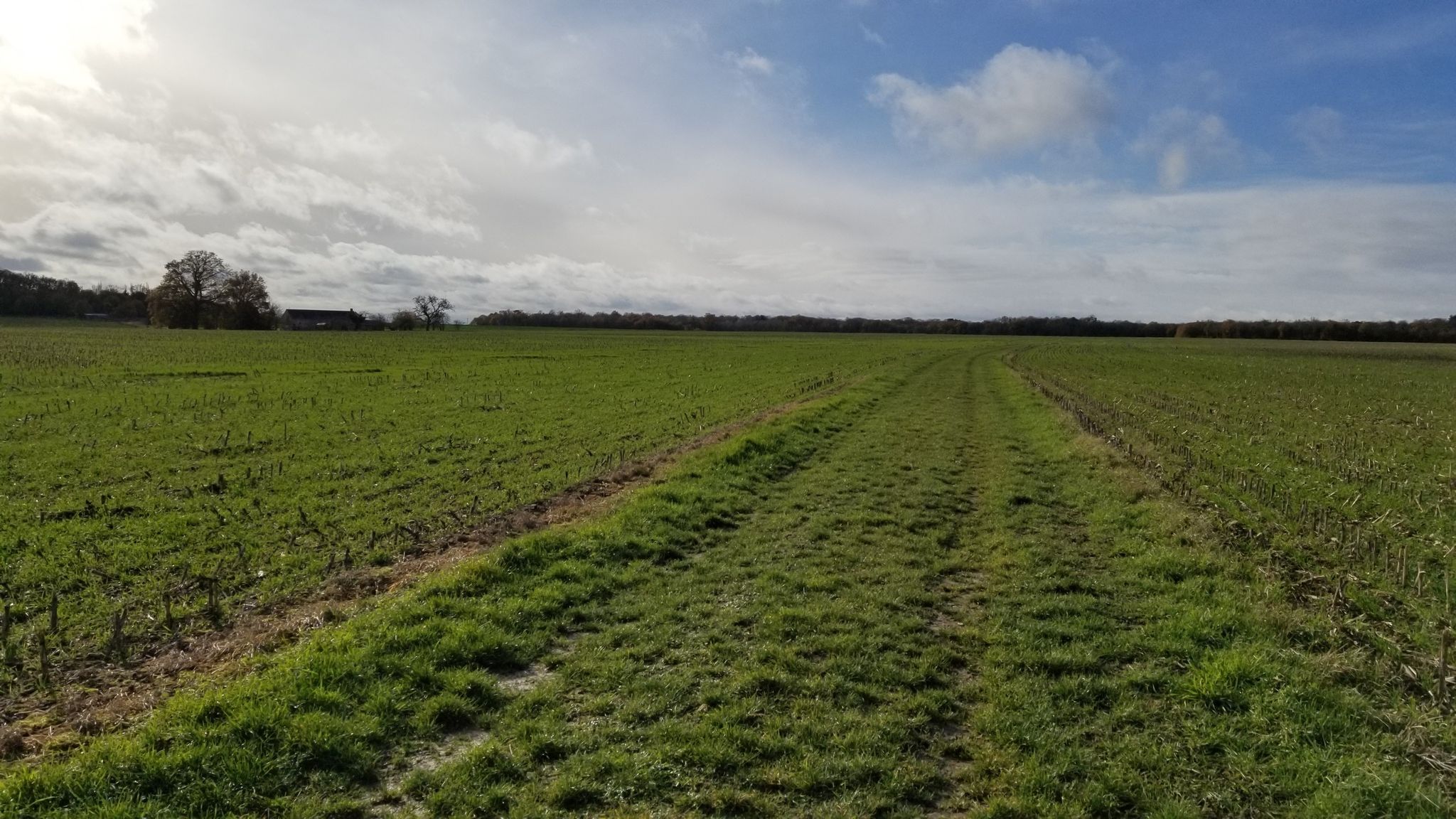 chemin au milieu des champs sur les hauts de saint ouen et pocé