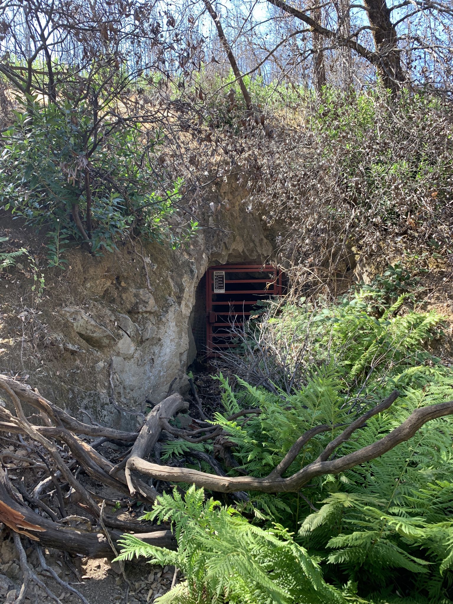 A cave-like opening with a metal grate, surrounded by dense green and dry vegetation. - Mount Shasta Mine Loop Trail