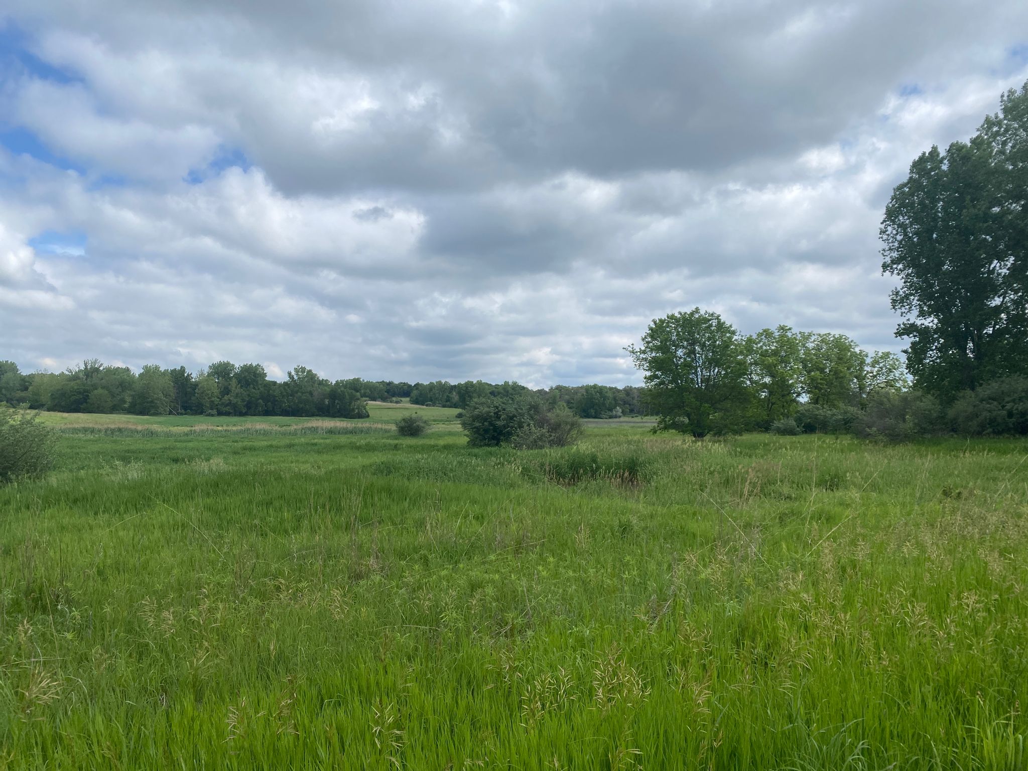 Wide green field under a cloudy sky with distant trees. - Wehrspann Lake South Loop