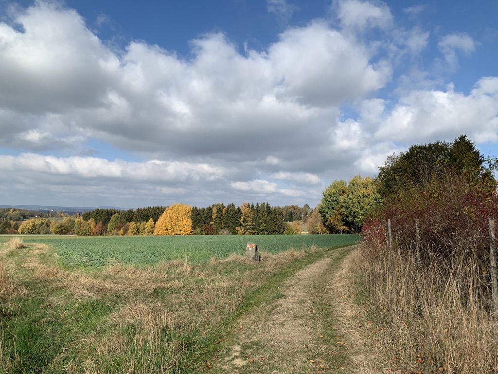 Wiesenweg