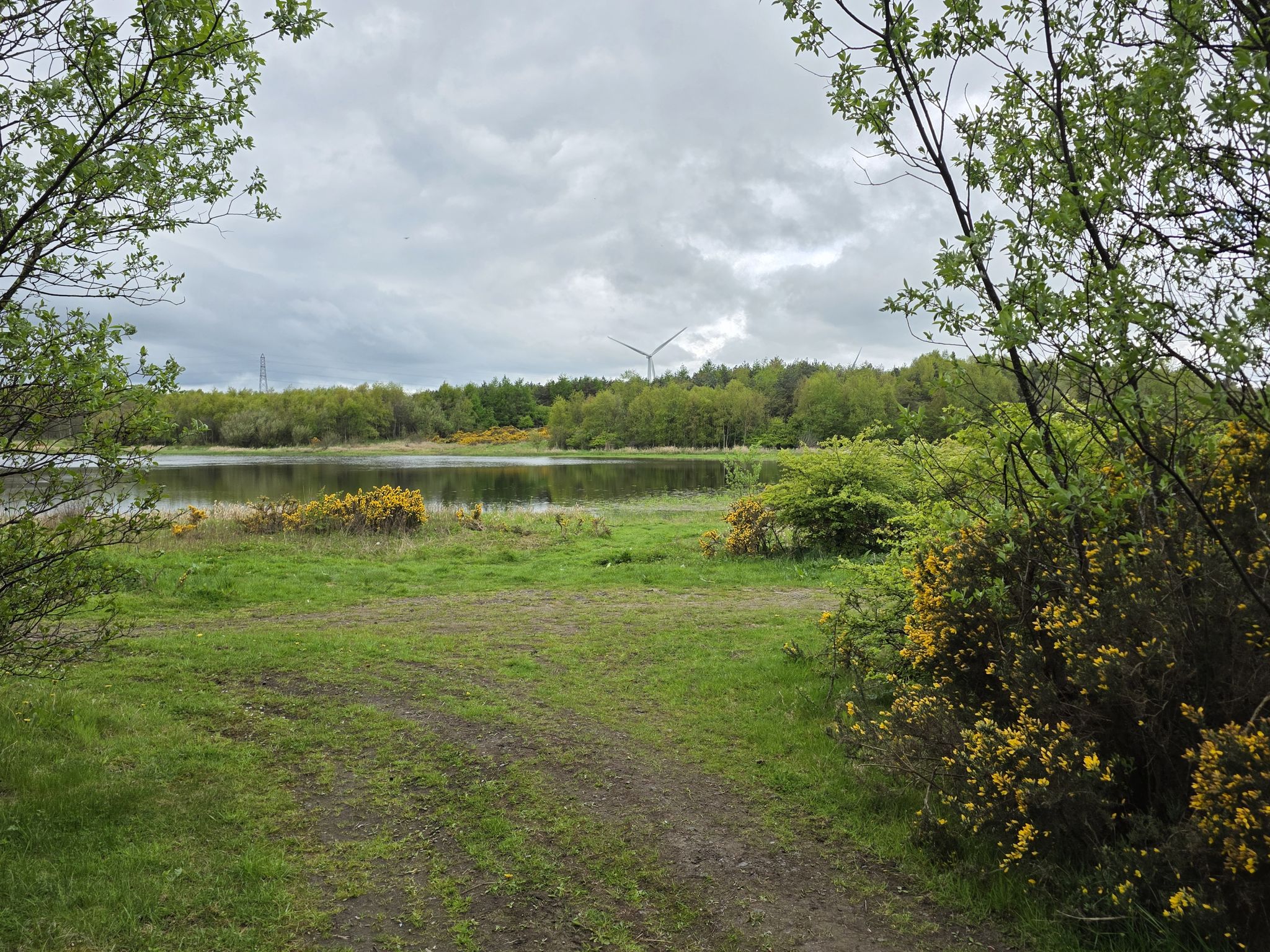 Reclaimed land beside Thornton
