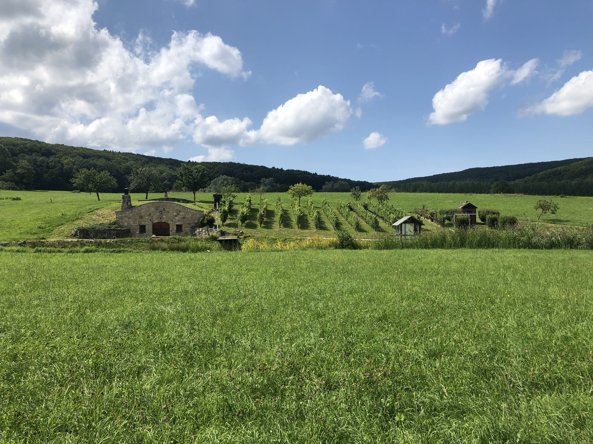 Kleiner Weingarten mit Keller