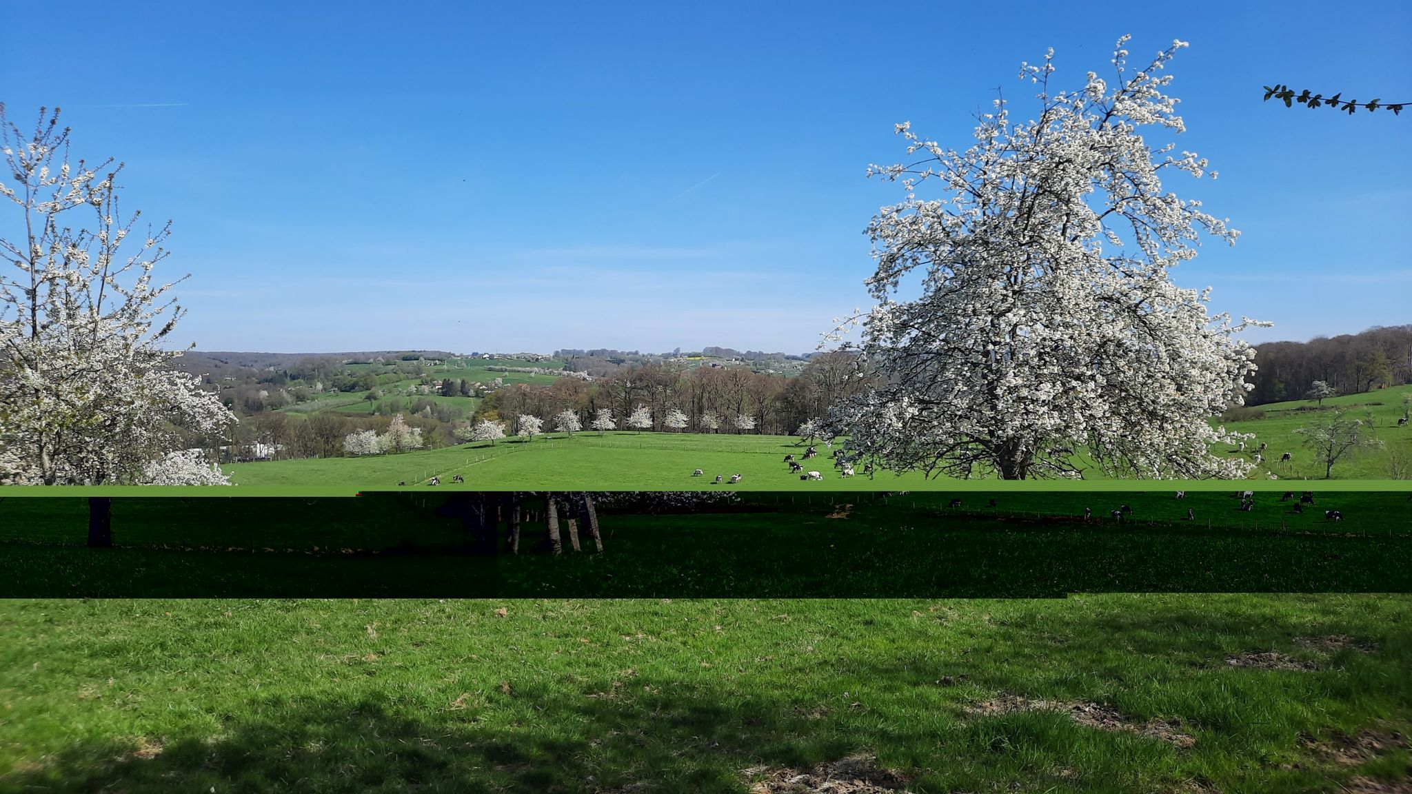 hauteur de fougerolle