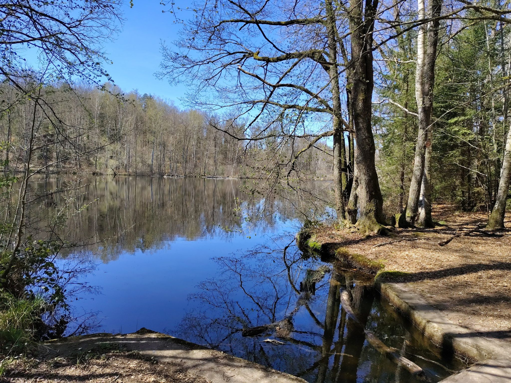 Etang du Erbsenthal