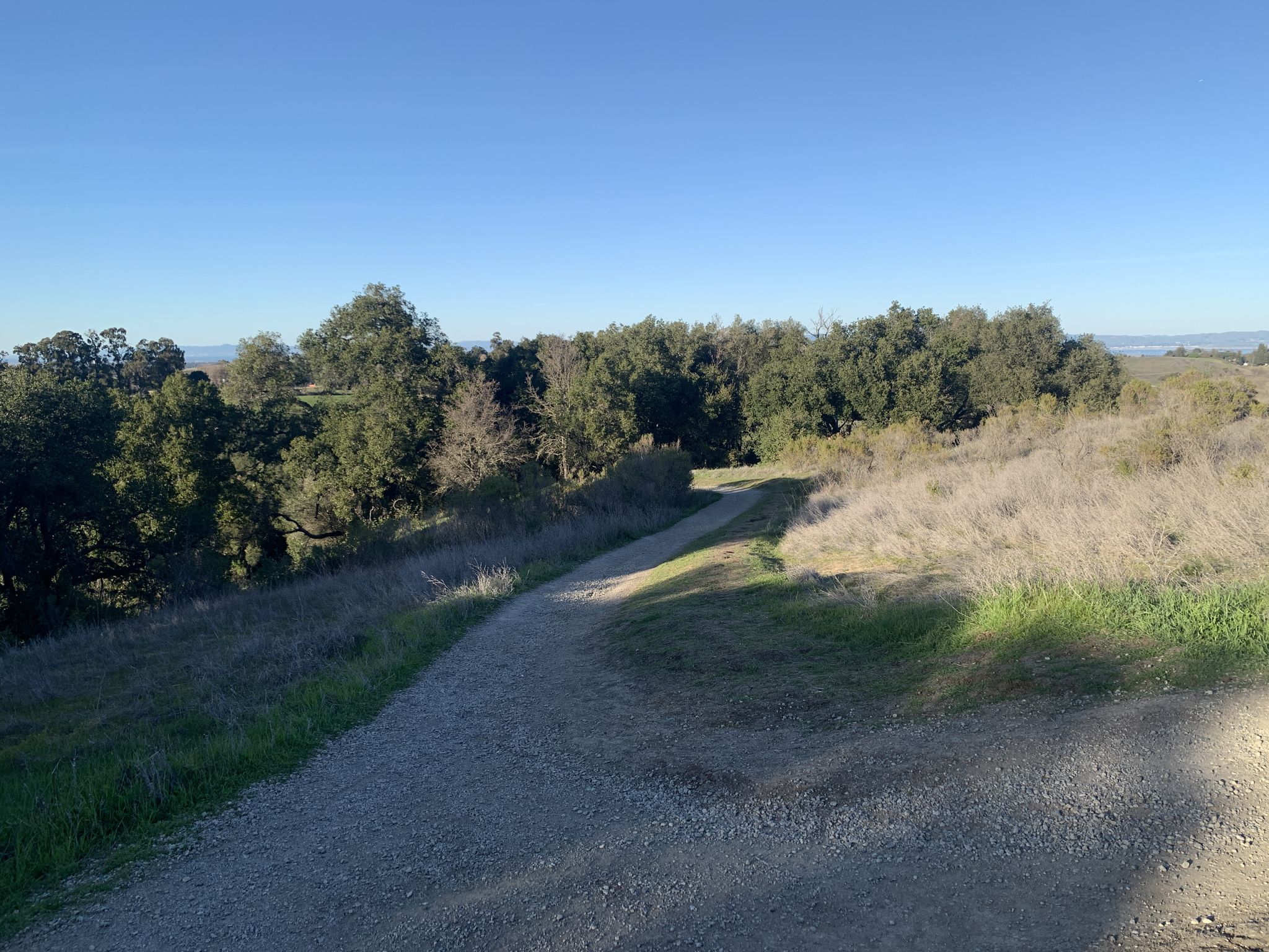 A wide gravel path winds through dry grass and trees on a sunny day. - Redtail Loop Trail to Pager Mill Road loop