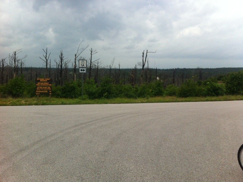 A road intersection with a sign, surrounded by dead trees under an overcast sky. - Running loop from Felipe Enrique Neri Baron de Bastrop
