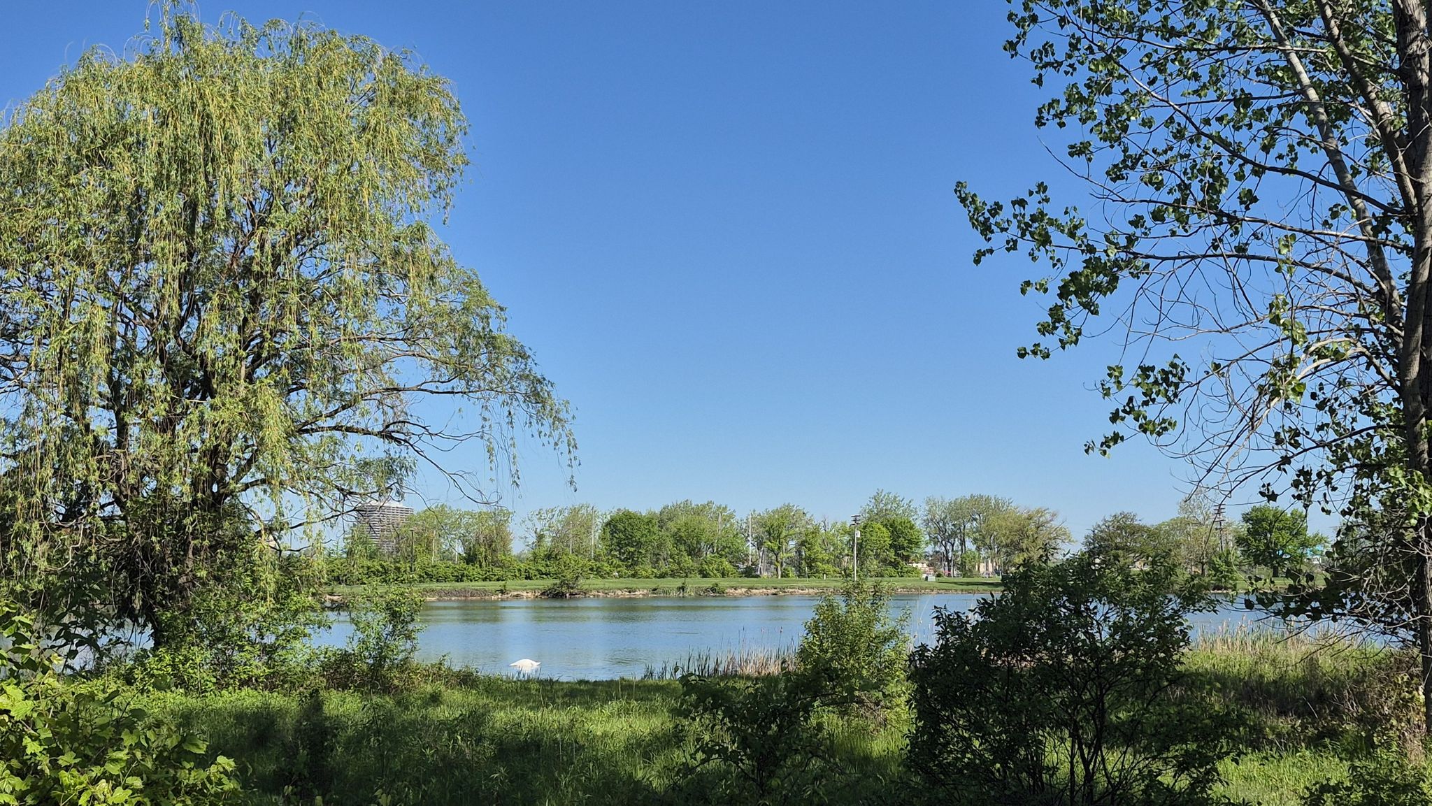 Calm lake surrounded by lush green trees under a bright blue sky. - Iron Belle Trail