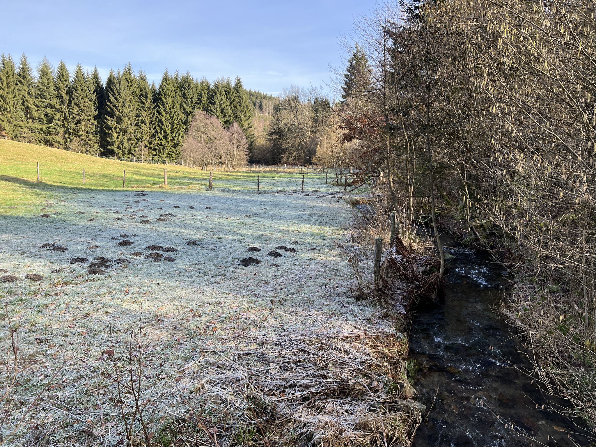 Im Aubachtal