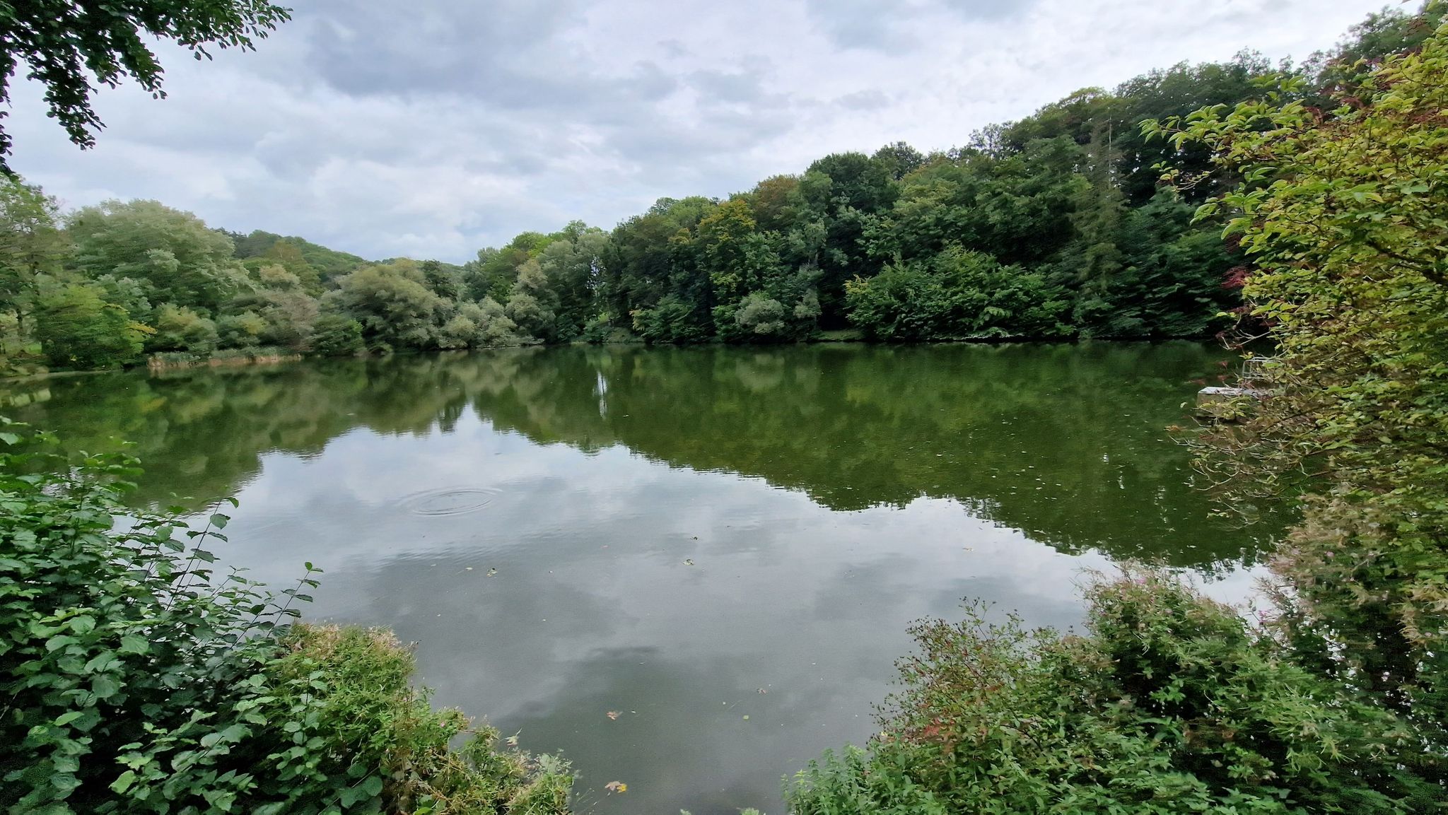 Brandensteiner Teich