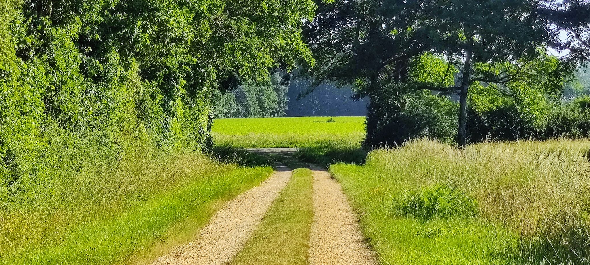 La porte du chemin de la grande Garouere