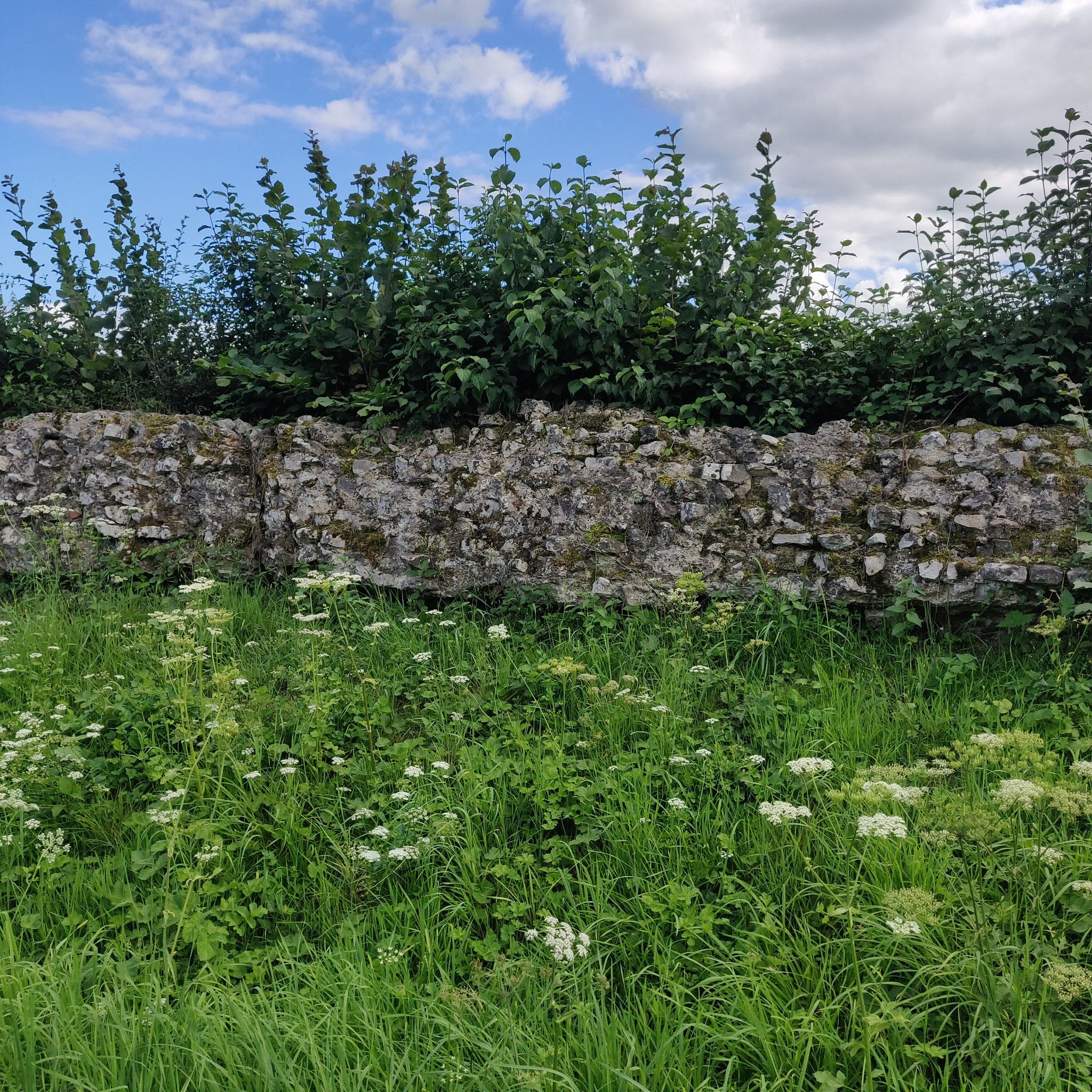 Mur des Sarrazins (ancien aqueduc romain)