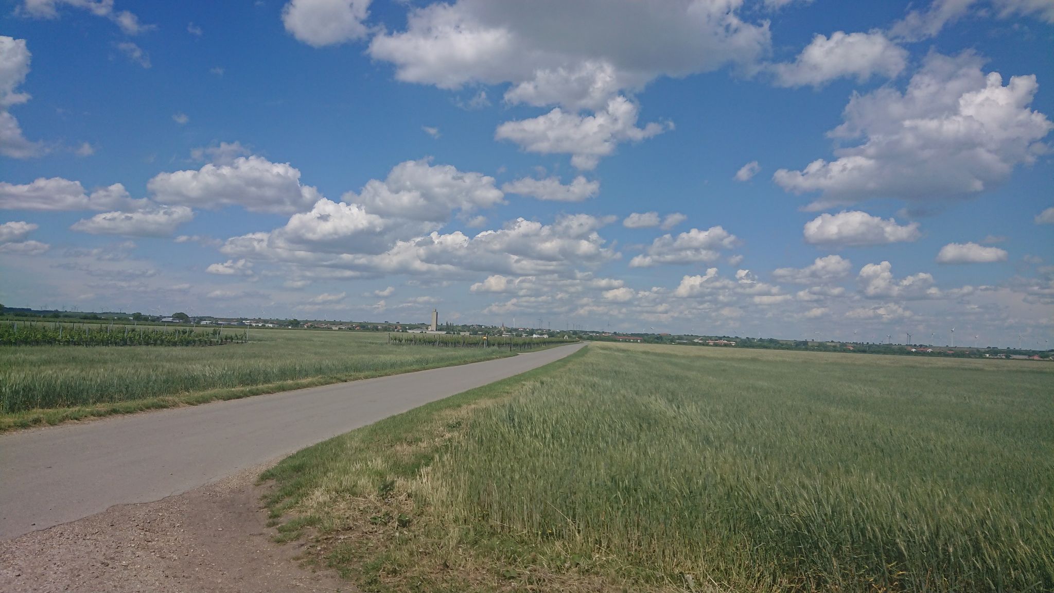 Blick retour auf Gols